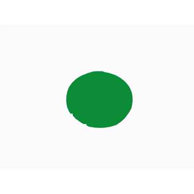 Soczewka przycisku, kolor zielony, M22-XDL-G