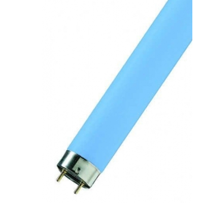 Świetlówka liniowa L 36 67 G13 niebieska